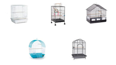 Canary Cage Types