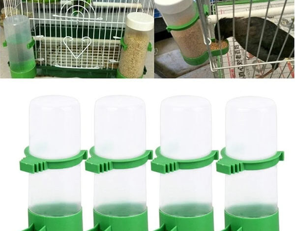 Choosing a Feeder and Waterer for Canaries