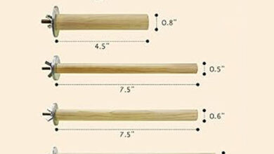 Perch selection guide for canaries