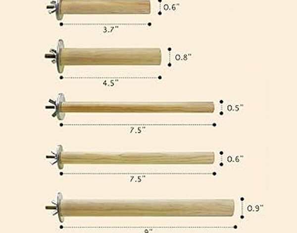 Perch selection guide for canaries