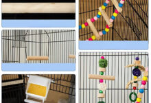 Toys and Accessories for Canaries
