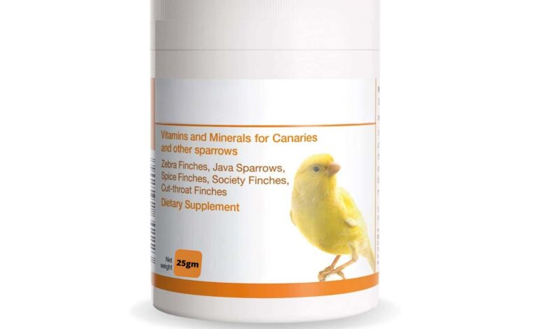Vitamin and Mineral Supplements for Canaries