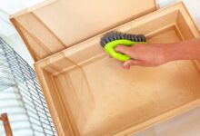 Kanarya Kafes Temizliği