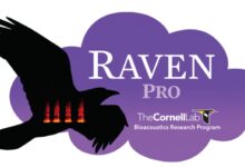 Kanarya Ses Kayit Programlari