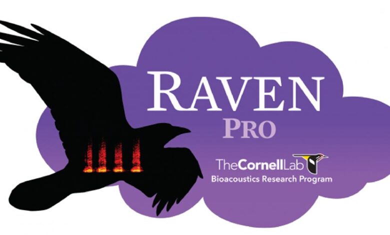 Kanarya Ses Kayit Programlari